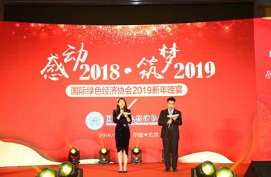 2019绿色经济会议_2019中国绿色经济年会在京召开(2)